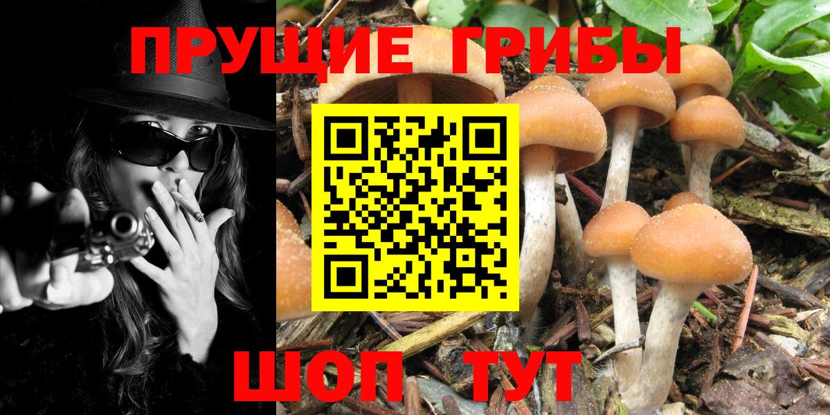 Галлюциногенные грибы мухоморы  дарнет шоп  Апатиты  Вход с VPN 
